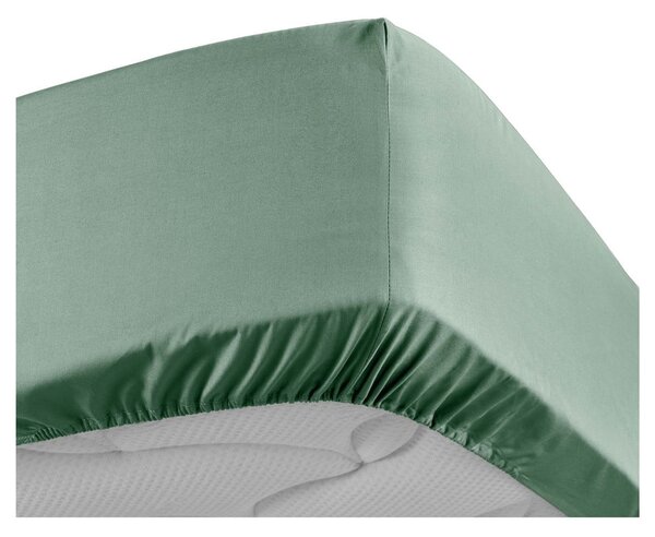 Zelena plahta s gumom od pamučnog perkala 160x200 cm Percaline – douceur d'intérieur
