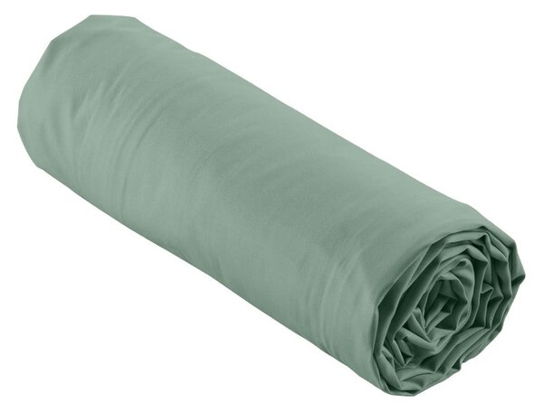 Zelena plahta s gumom od pamučnog perkala 160x200 cm Percaline – douceur d'intérieur