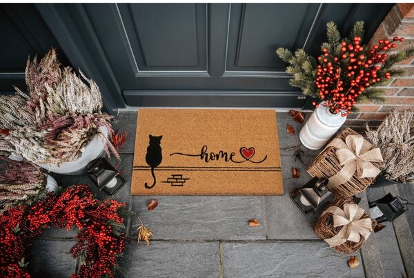Otirač od kokosovih vlakana 40x70 cm Kitty Home – Hanse Home