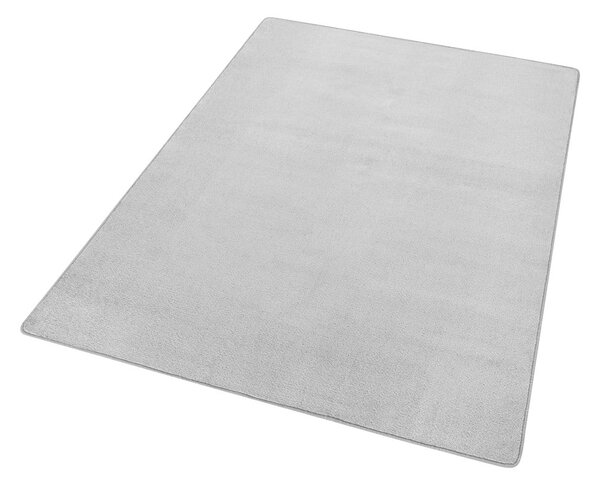 Svijetlo sivi tepih 80x150 cm Fancy – Hanse Home