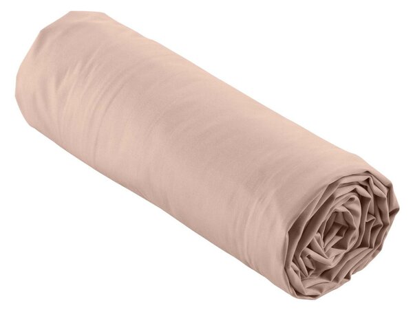 Ružičasta plahta s gumom od pamučnog perkala 160x200 cm Percaline – douceur d'intérieur