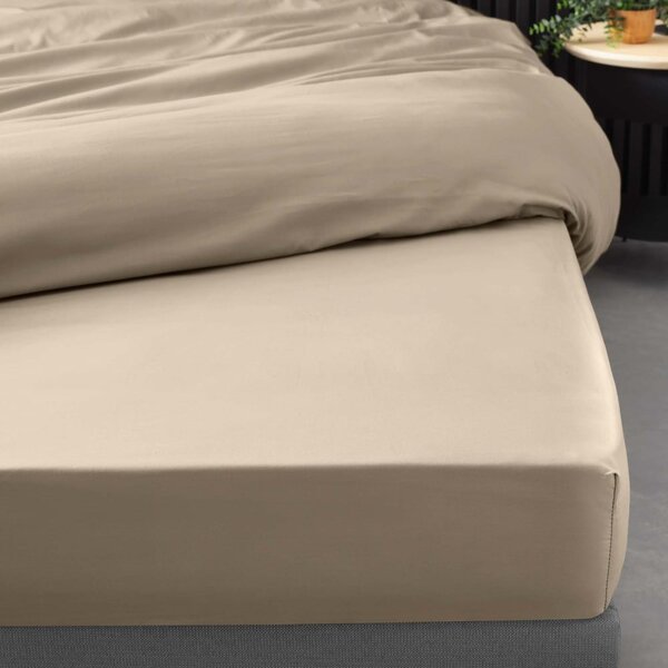 Svjetlo smeđa plahta s gumom od pamučnog perkala 180x200 cm Percaline – douceur d'intérieur