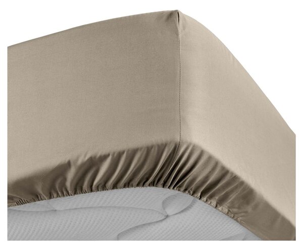 Svjetlo smeđa plahta s gumom od pamučnog perkala 180x200 cm Percaline – douceur d'intérieur