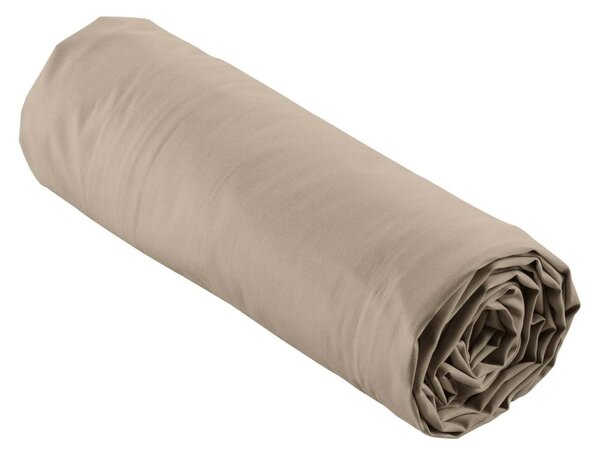 Svjetlo smeđa plahta s gumom od pamučnog perkala 180x200 cm Percaline – douceur d'intérieur