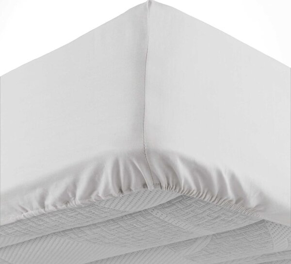 Bijela pamučna plahta s gumom 160x200 cm Lina – douceur d'intérieur