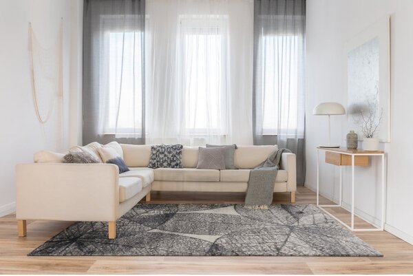 Sivi tepih 160x230 cm Lush – FD