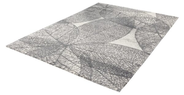 Sivi tepih 160x230 cm Lush – FD