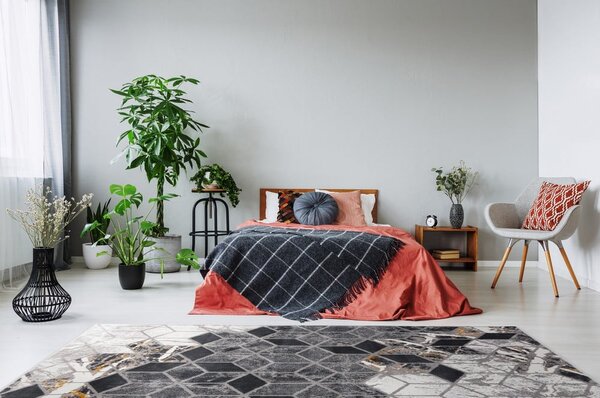 Sivi tepih 80x150 cm Soft – FD
