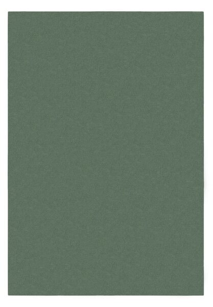 Zeleni tepih 160x230 cm – Flair Rugs