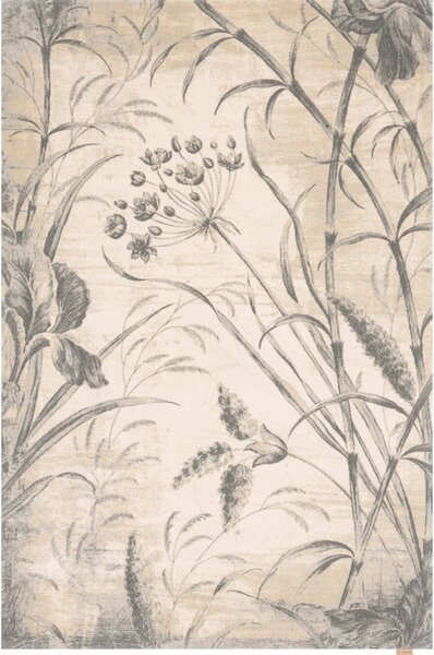 Krem vuneni tepih 300x400 cm Botany – Agnella