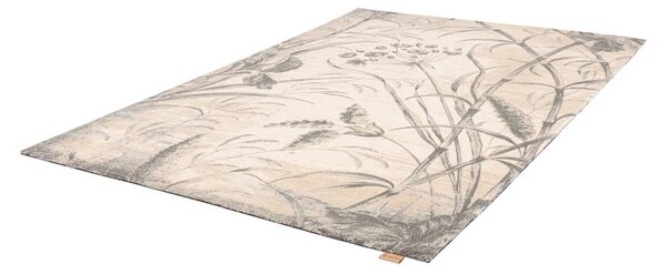 Krem vuneni tepih 300x400 cm Botany – Agnella