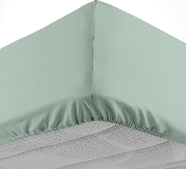 Svijetlo zelena pamučna plahta s gumom 160x200 cm Lina – douceur d'intérieur