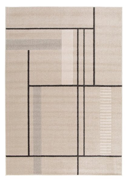 Bež tepih 120x170 cm Domus – Universal
