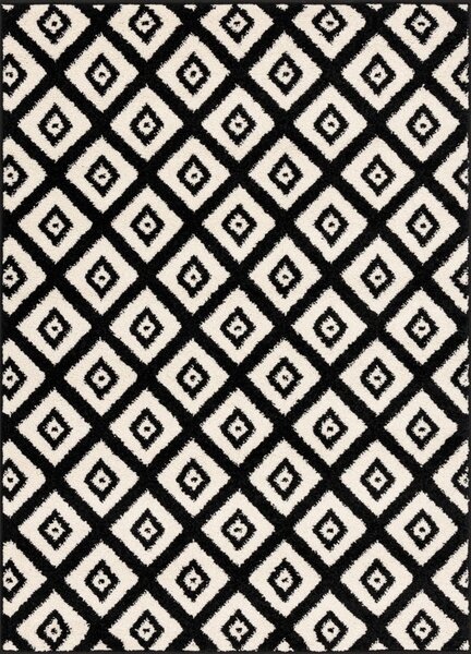 Crno-bijeli tepih 160x220 cm Avanti – FD