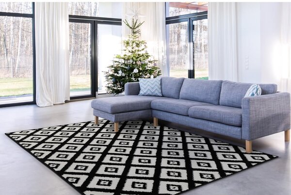 Crno-bijeli tepih 160x220 cm Avanti – FD