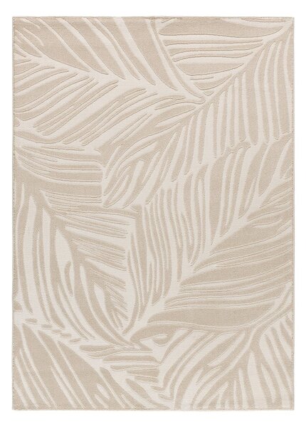 Krem tepih 80x150 cm Sensation – Universal