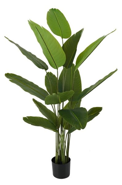 Umjetna strelicija (visina 150 cm) Canna – PT LIVING