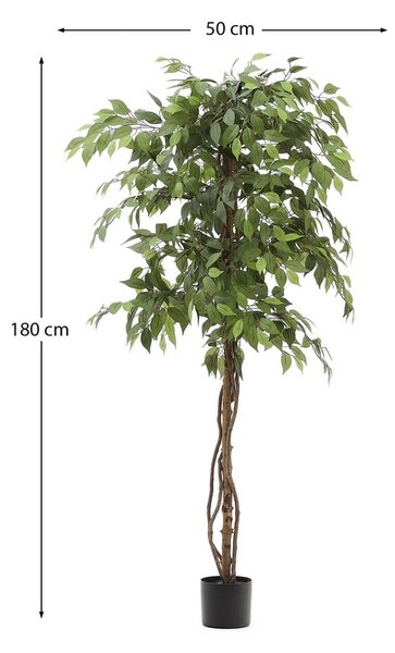 Umjetni fikus (visina 180 cm) Ficus – Kave Home