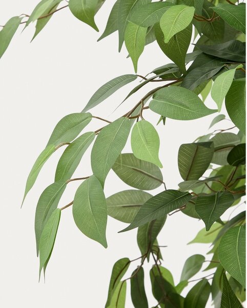 Umjetni fikus (visina 180 cm) Ficus – Kave Home