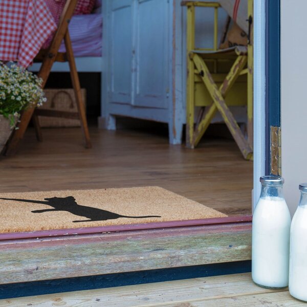 Otirač od kokosovih vlakana 40x60 cm Cat – Artsy Doormats