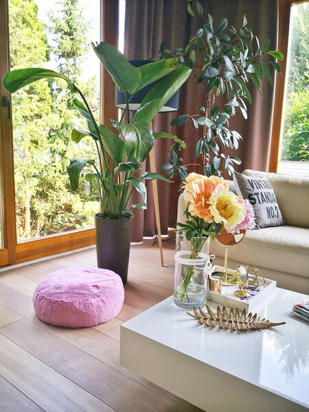 Krevet Milan Pink