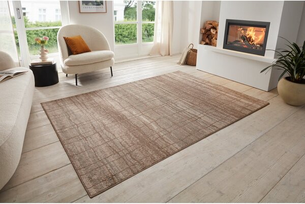 Smeđi/bež tepih 80x120 cm Terrain – Hanse Home
