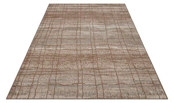 Smeđi/bež tepih 80x120 cm Terrain – Hanse Home