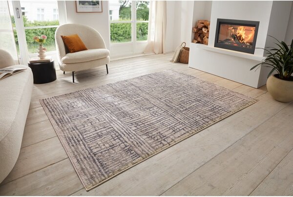 Sivi tepih 80x120 cm Terrain – Hanse Home