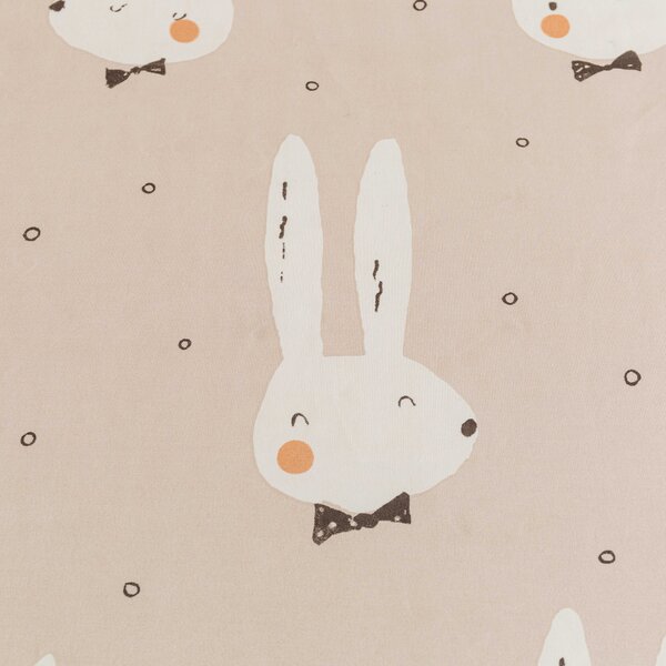 Plahta od mikrovlakana 140x240 cm i jastučnica 50x70 cm WHITE RABBIT, bež