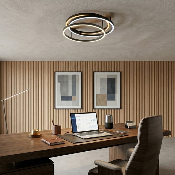 Stropna lampa LED SWE058-C BLACK