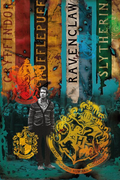 Poster Harry Potter - Kuće Hogwartsa