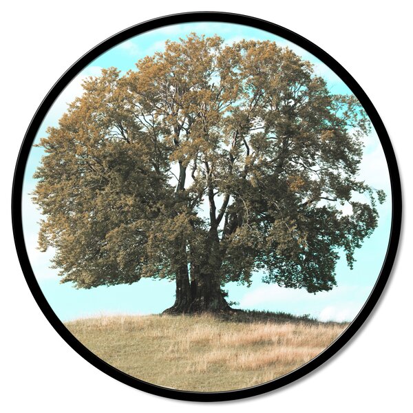 Zidni ukras Quercia