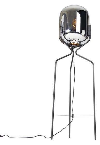 Dizajnerska podna lampa crna s dimnim staklom - Bliss