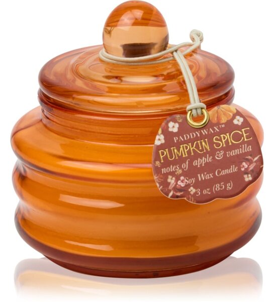 Paddywax Pumpkin Spice mirisna svijeća 58 g