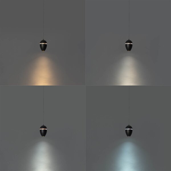 Moderna crna viseća svjetiljka za 1-fazni sustav tračnica uklj. LED - Magnetic Eggy