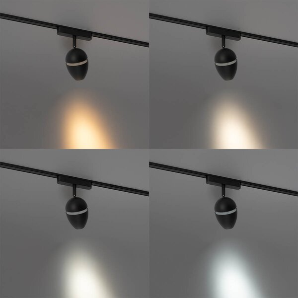 Moderno crno reflektorsko svjetlo za jednofazni sustav tračnica s LED diodama - Magnetic Eggy