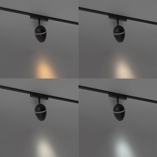 Moderno crno reflektorsko svjetlo za jednofazni sustav tračnica s LED diodama - Magnetic Eggy