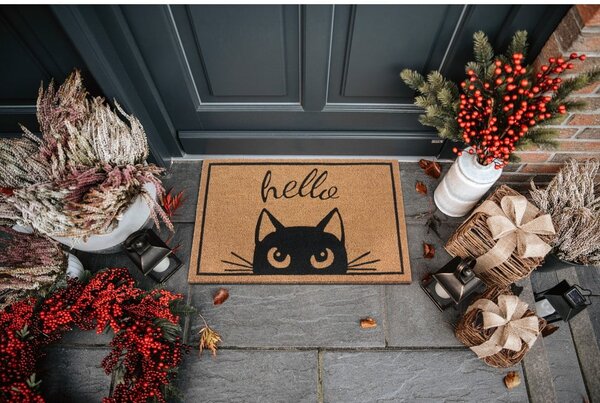 Otirač 70x45 cm Mix Mats - Hanse Home