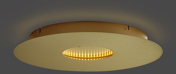 Moderna stropna svjetiljka zlatna 40 cm uklj. LED s mogućnošću prigušivanja u 3 koraka - Morning