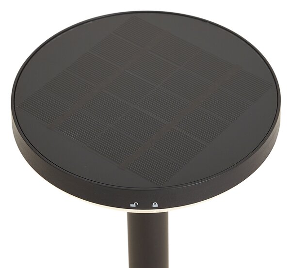 Set od 3 crna šiljasta reflektora uklj. LED solarni IP44 - Dottie
