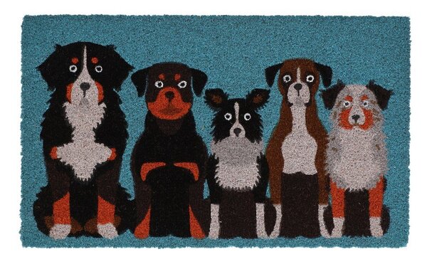 Otirač od kokosovih vlakana 45x75 cm – Esschert Design