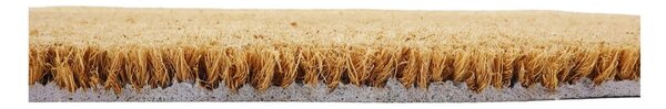 Otirač od kokosovih vlakana 40x60 cm Midnight Garden x Celia Battaini – Artsy Doormats