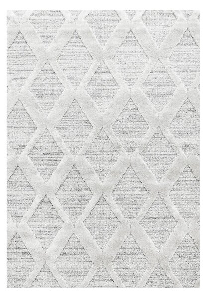 Svijetlo sivi tepih 60x110 cm Pisa – Ayyildiz Carpets