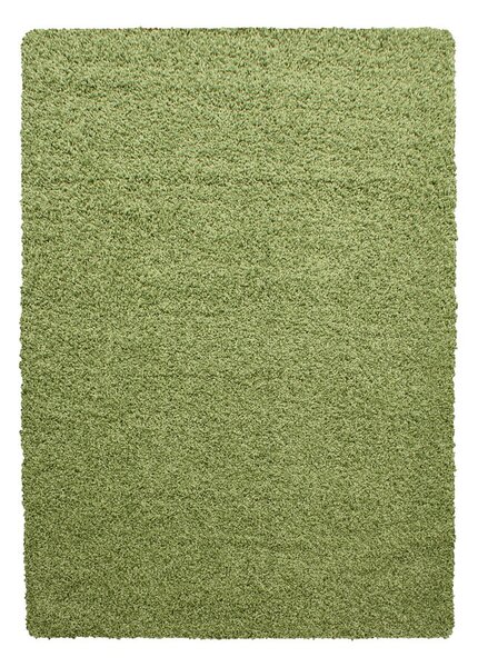 Zeleni tepih 160x230 cm Life – Ayyildiz Carpets