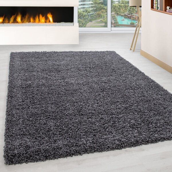 Tamno sivi tepih 60x110 cm Life – Ayyildiz Carpets