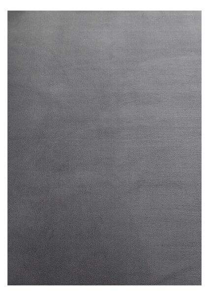 Sivi periv tepih 60x110 cm Sky – Ayyildiz Carpets