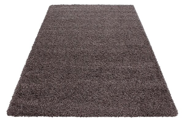 Smeđi tepih 80x150 cm Life – Ayyildiz Carpets
