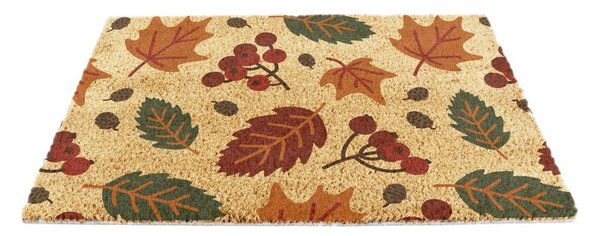 Otirač od kokosovih vlakana 40x60 cm Autumn Leaves – Artsy Doormats