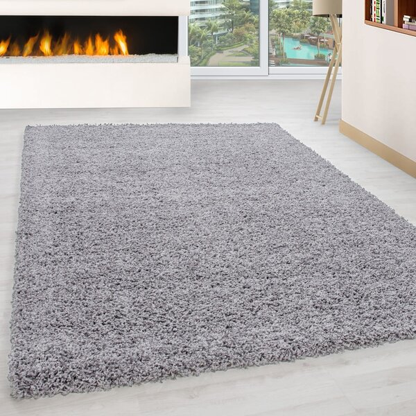 Svijetlo sivi tepih 120x170 cm Life – Ayyildiz Carpets