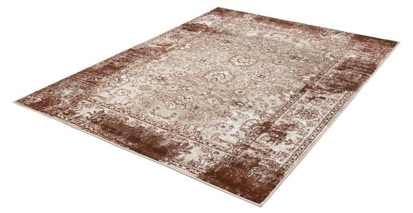 Smeđi tepih 80x150 cm Terno Brown – FD